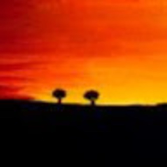 Meet your Posher, Mina - Picture 1 of 1